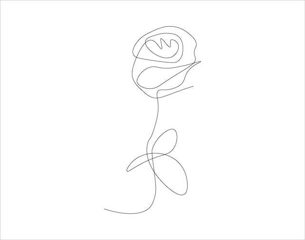 Vector continuous line drawing of rose one line of rose rose continuous line art editable outline