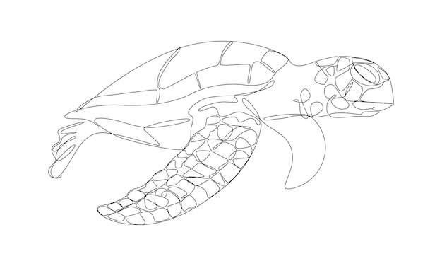 Вектор Непрерывный рисунок морской черепахи