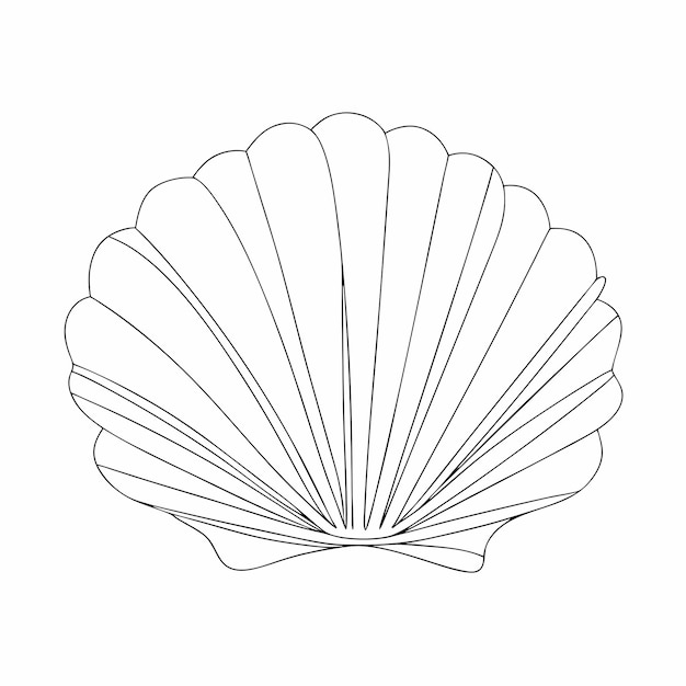 続きを読む 海貝のスケッチ