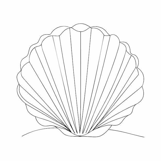 続きを読む 海貝のスケッチ