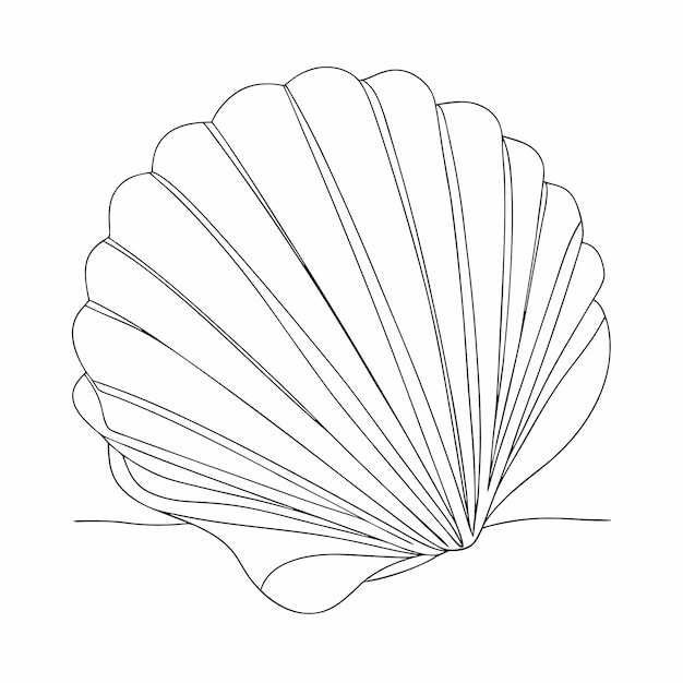 続きを読む 海貝のスケッチ