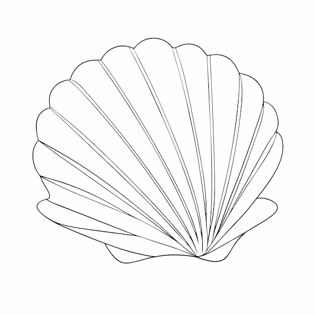 続きを読む 海貝のスケッチ