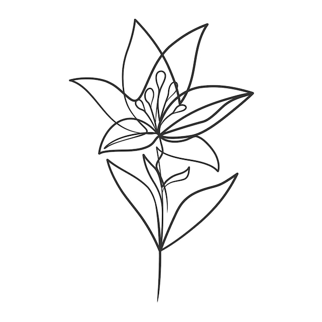 Vector continuous line drawing of simple flower illustration abstract flower in one line art drawing