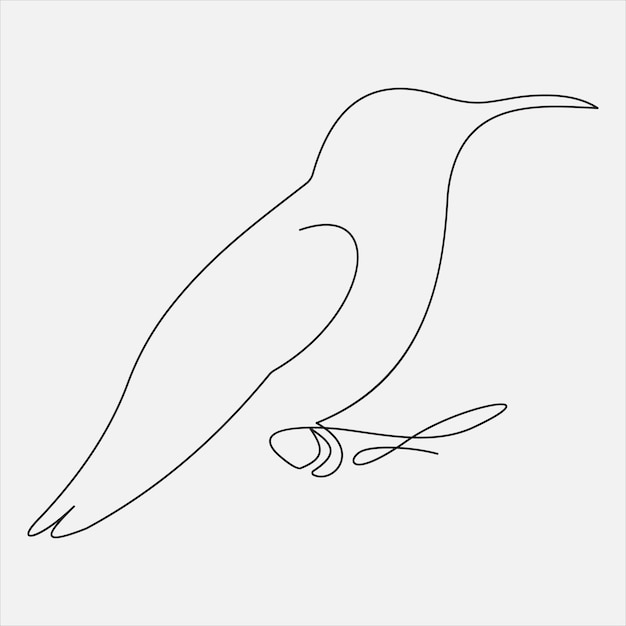 Vector continuous line hand drawing vector illustration bird art