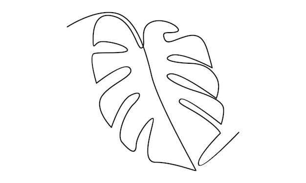 Continuous line of monstera leaf illustration