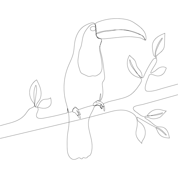 Continuous line pecan bird. Vector illustration One line drawing