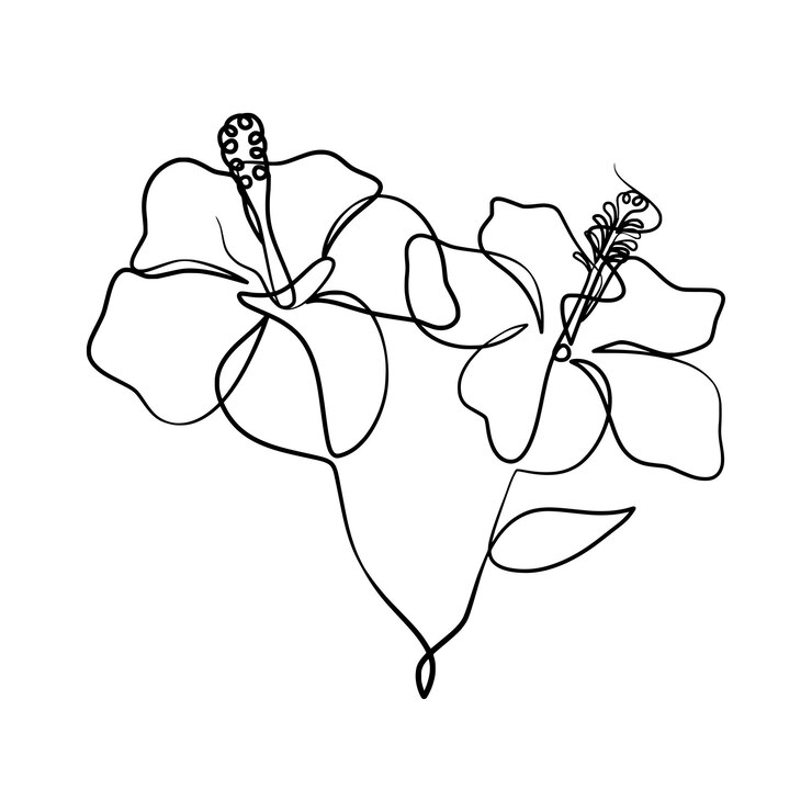 Continuous one line art drawing of beauty hibiscus flower