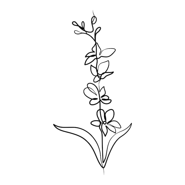 Continuous one line art drawing of beauty orchid flower