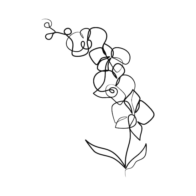 Continuous one line art drawing of beauty orchid flower