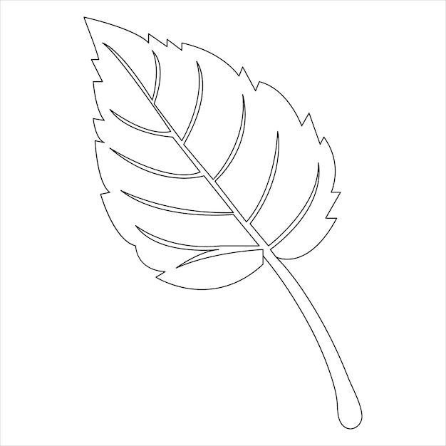 연속 한 줄 예술 그림 메이플 잎 식물 장식 기호 윤 ⁇   ⁇ 터 일러스트레이션