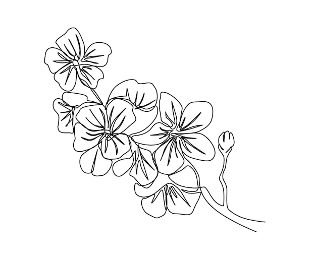 Continuous one line drawing of cherry blossom Simple flower blossom line art vector illustration