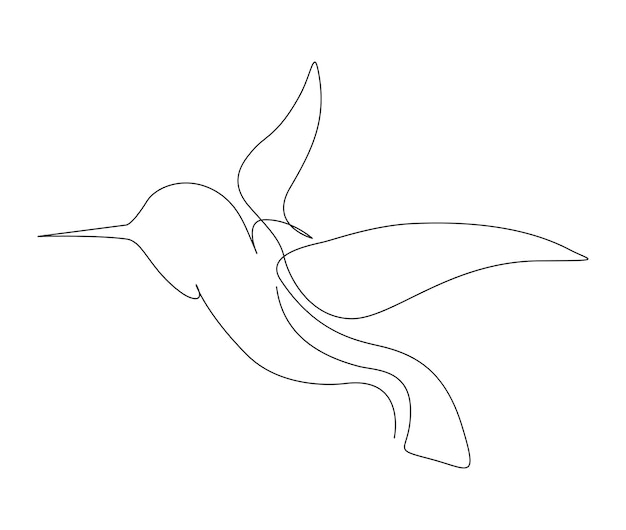 Vector continuous one line drawing of collibri humming bird abstract flying bird outline vector illustration