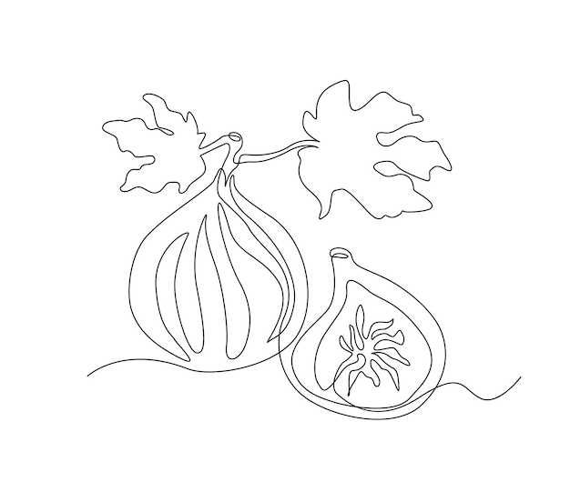 Disegno continuo di una linea di frutti di fico disegno vettoriale semplice di fichi o frutta in latta