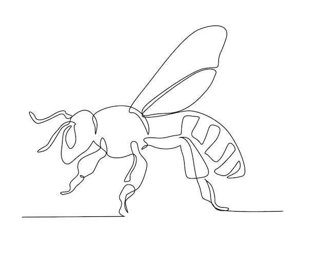 Continuous one line drawing of fliying bee Simple illustration of honey bee line art vector illustration