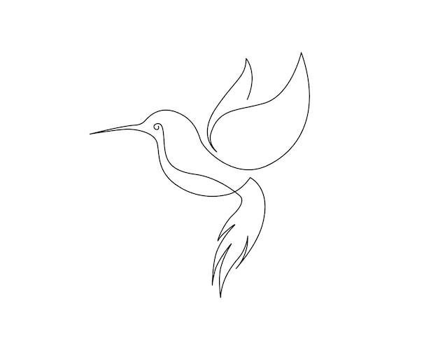 Vector continuous one line drawing of flying hummingbird or colibri