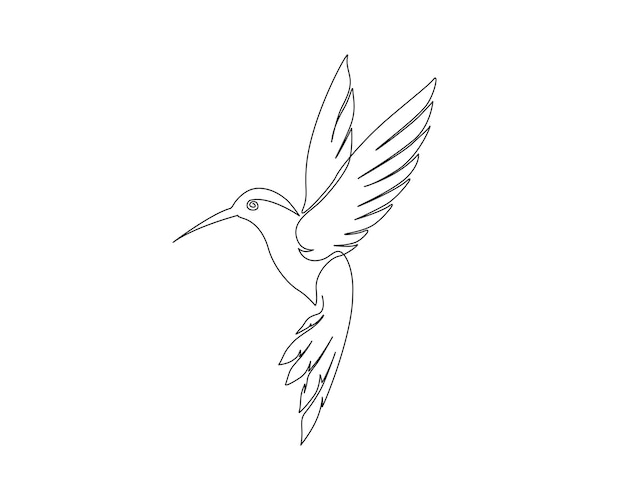 Vector continuous one line drawing of flying hummingbird or colibri