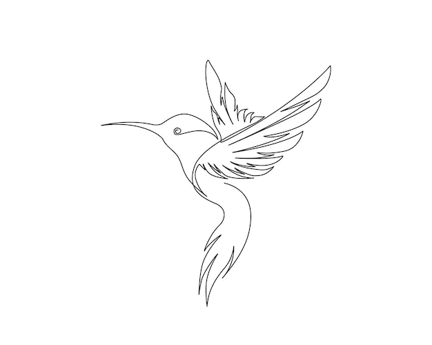 Vector continuous one line drawing of flying hummingbird or colibri