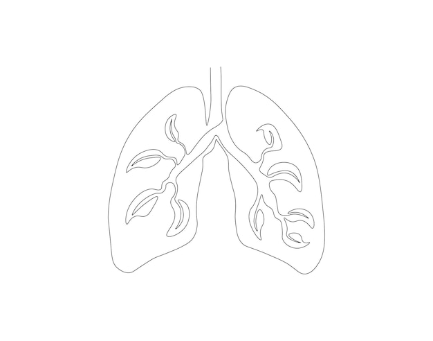 Continuous one line drawing of human lungs One line of anatomical human lungs Medical internal concept continuous line art Editable outline