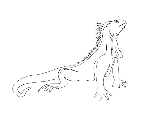 Continuous one line drawing of iguana Lizard reptile single line art vector illustration Editable stroke