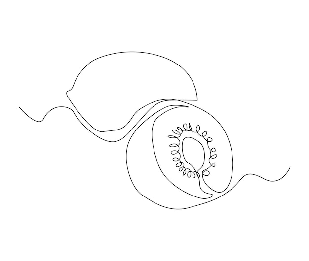 Disegno continuo di una linea di kiwi con foglia qiwi frutta disegnata a mano a linea singola arte illustrazione vettoriale