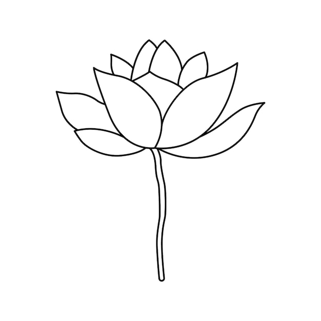 Vector continuous one line drawing lotus flower vector illustration