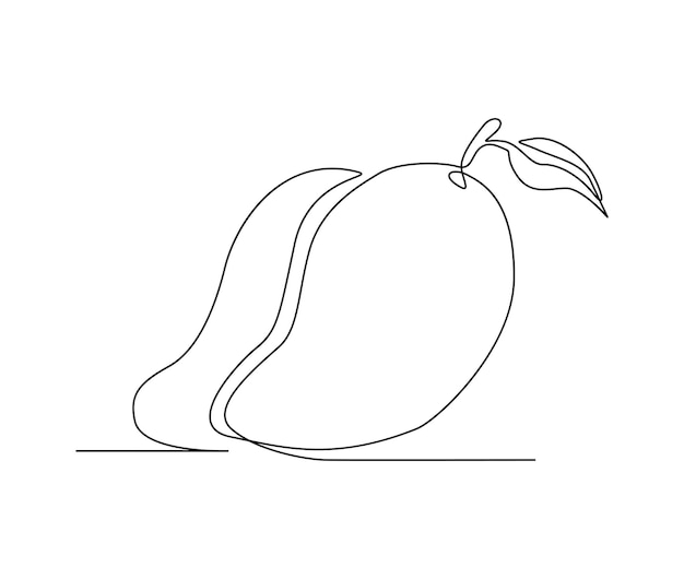 Continuous one line drawing of mango fruit with leaf Mango fruit hand drawn single line art vector illustration