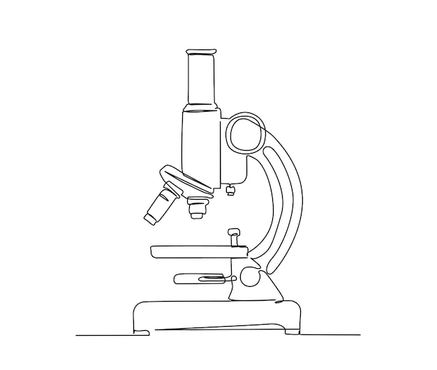 Light microscope drawings of Xanthonema. Fig. 1. Short filament with... |  Download Scientific Diagram