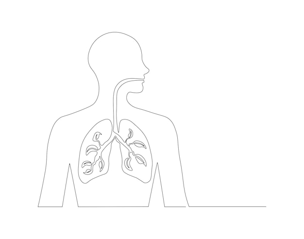Вектор Непрерывный рисунок одной линии человеческих легких одна линия анатомических человеческих лёгких медицинская внутренняя концепция непрерывная линия искусства редактируемый контур
