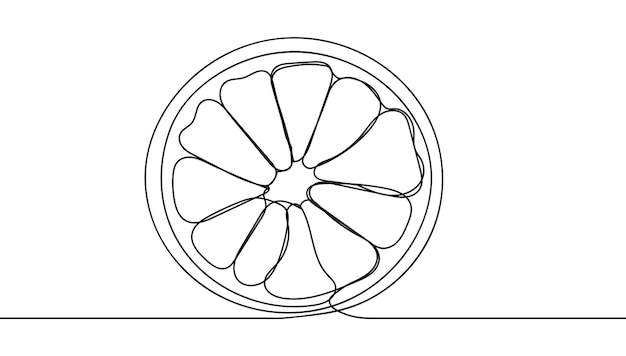 Continuous one line drawing of orange fruit