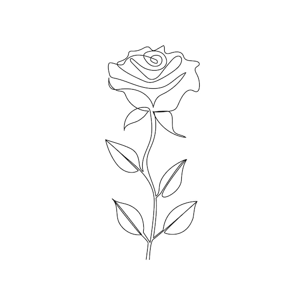 Continuous one line drawing rose flower outline vector art illustration