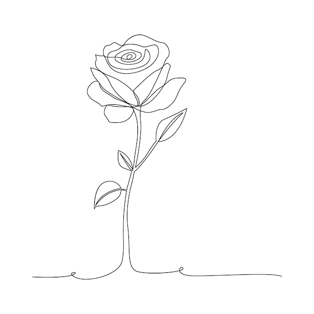 Continuous one line drawing rose flower outline vector art illustration