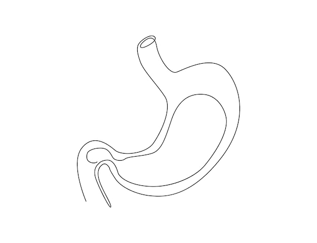 Disegno continuo di una linea dell'organo dello stomaco illustrazione vettoriale del disegno della linea gastrointestinale umana