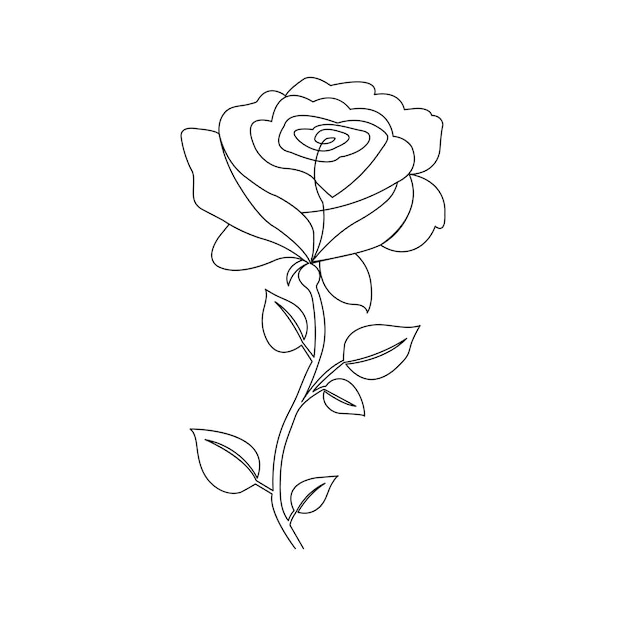 Vector continuous one line hand drawing rose flower art vector illustration