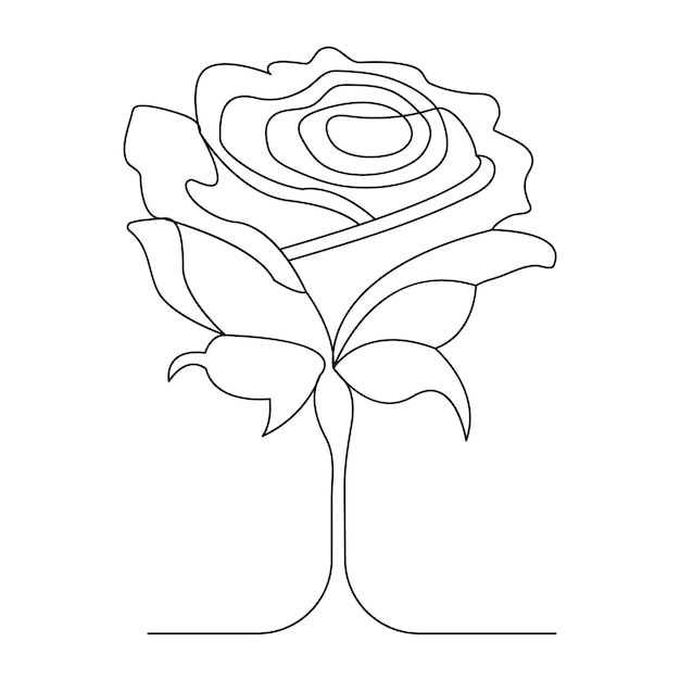 Continuous One line rose flower hand drawn outline vector illustration and valentines day line art