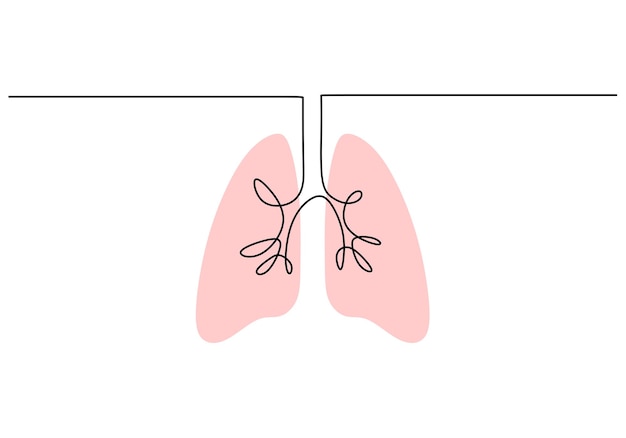 Continuous one single line of lungs anatomy isolated on white background