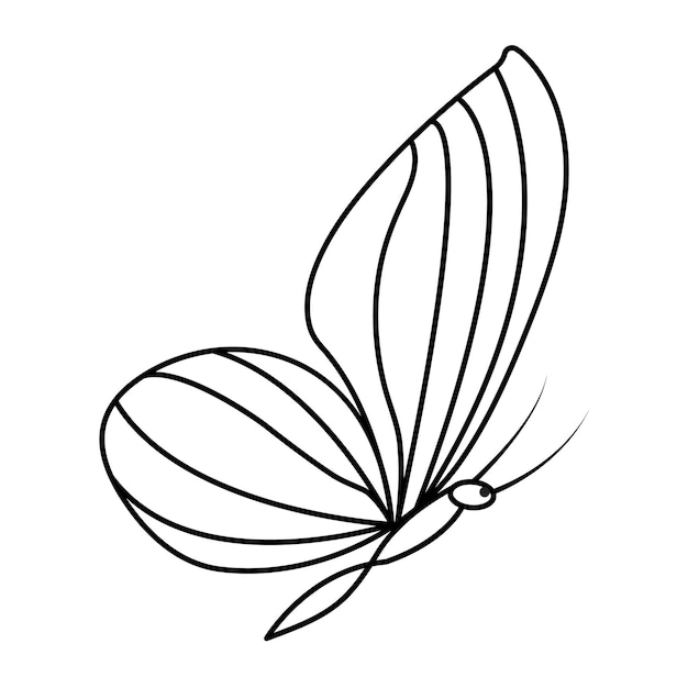 Continuous single line Butterfly drawing and one line vector art illustration