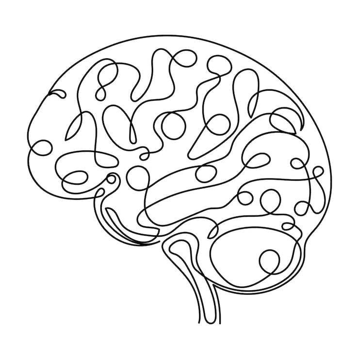 Vector continuous single line drawing of human brain vector illustration on a white background
