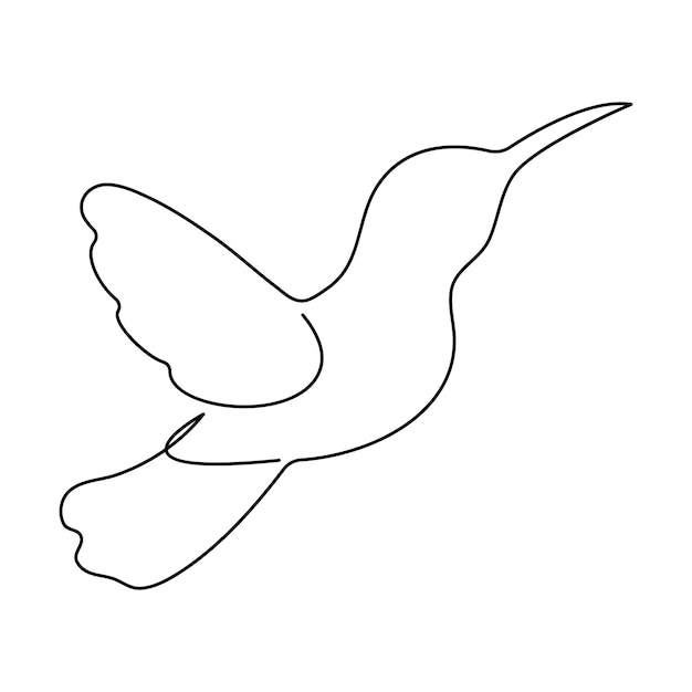 Vector continuous singleline art of hummingbird flying bird one line drawing vector and illustration