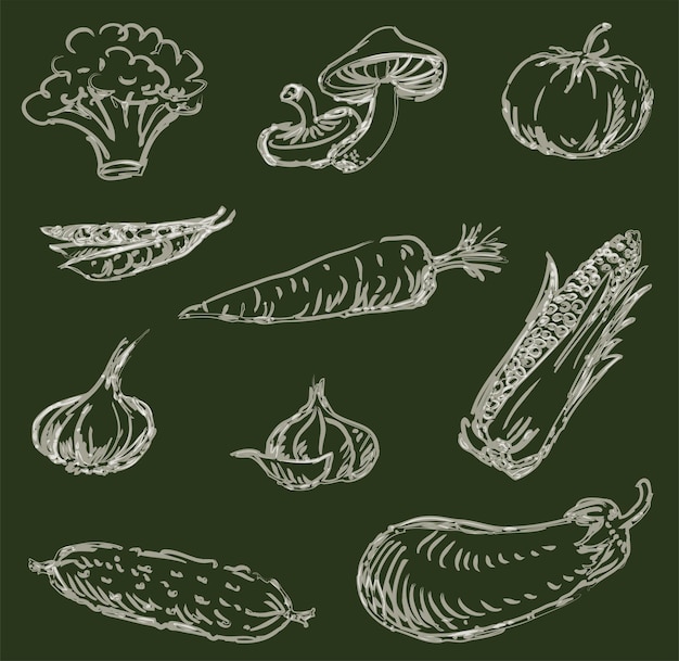 Disegni di contorno del pennello ad acquerello di varie verdure
