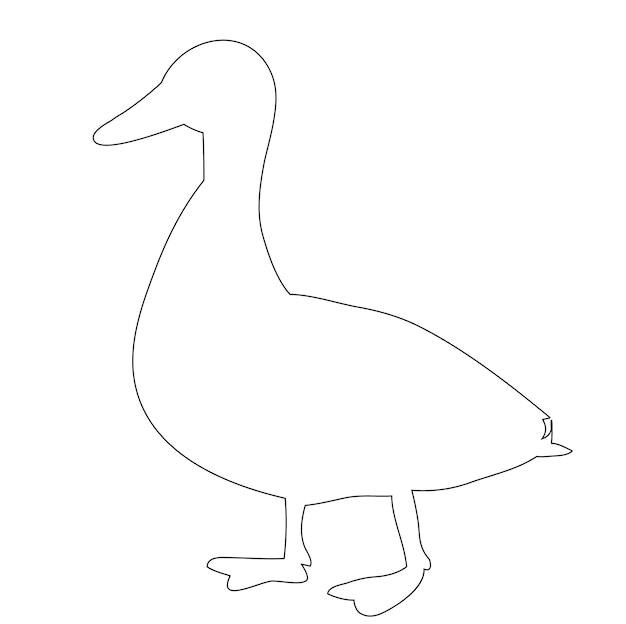 Vector contour duck goose