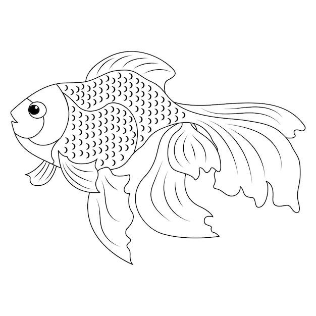 Contour of fish for coloring veil linear illustration black and white image of an aquarium goldfish