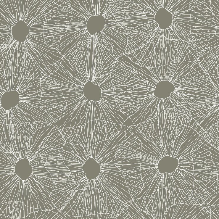 Vector contour flowers vector seamless pattern transparent floral pattern