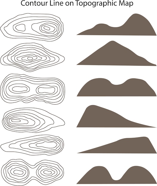 Vector contour line on topographic map