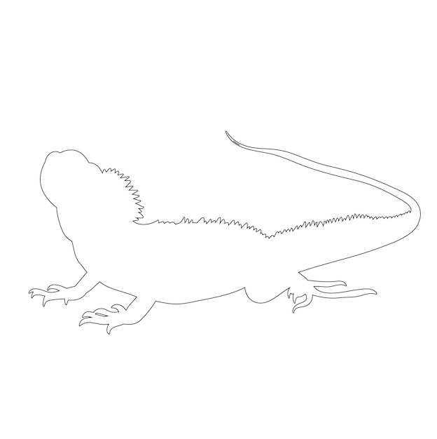 Vector contour lizard on white background icon