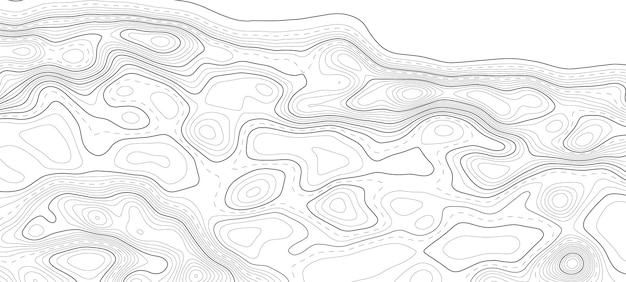 Vector contour map background vector geography scheme and terrain topography grid map