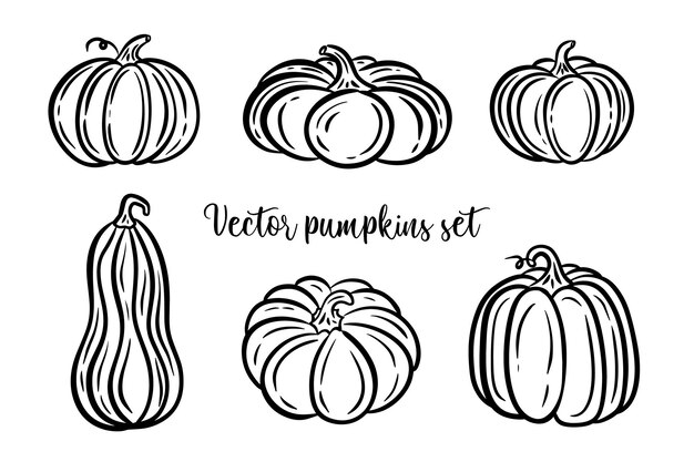 Contour of pumpkins collection vector set black line illustrations