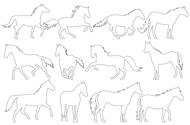 Contour sketch horse set