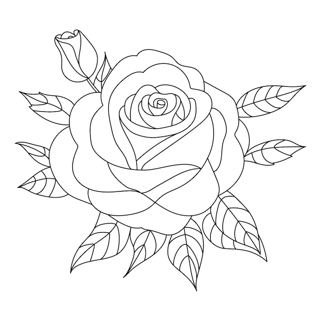 Vector a contoured rose flower an open rosebud coloring of flowers