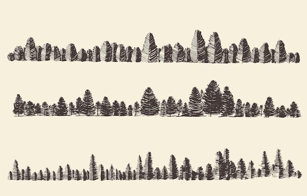 Contours of the mountains with fir forest engraving vector illustration, hand drawn, sketch