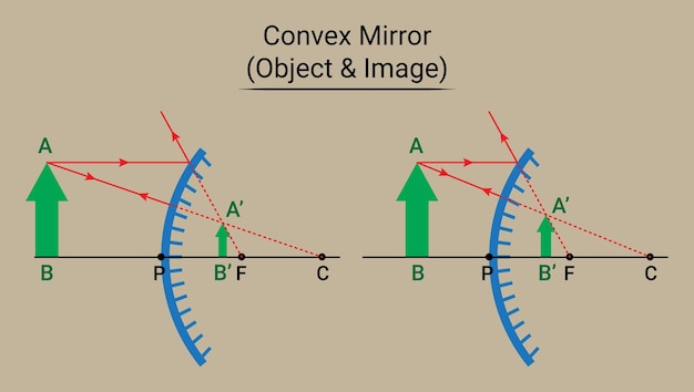 4 Rules of Convex Mirror. Ray Diagram 28175645 Vector Art at Vecteezy